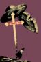 3jU5e1LhMTVwmJSivPpTeaTcr69