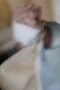 zA7phBUl1XecPPq6lk4ZVYYdg7X